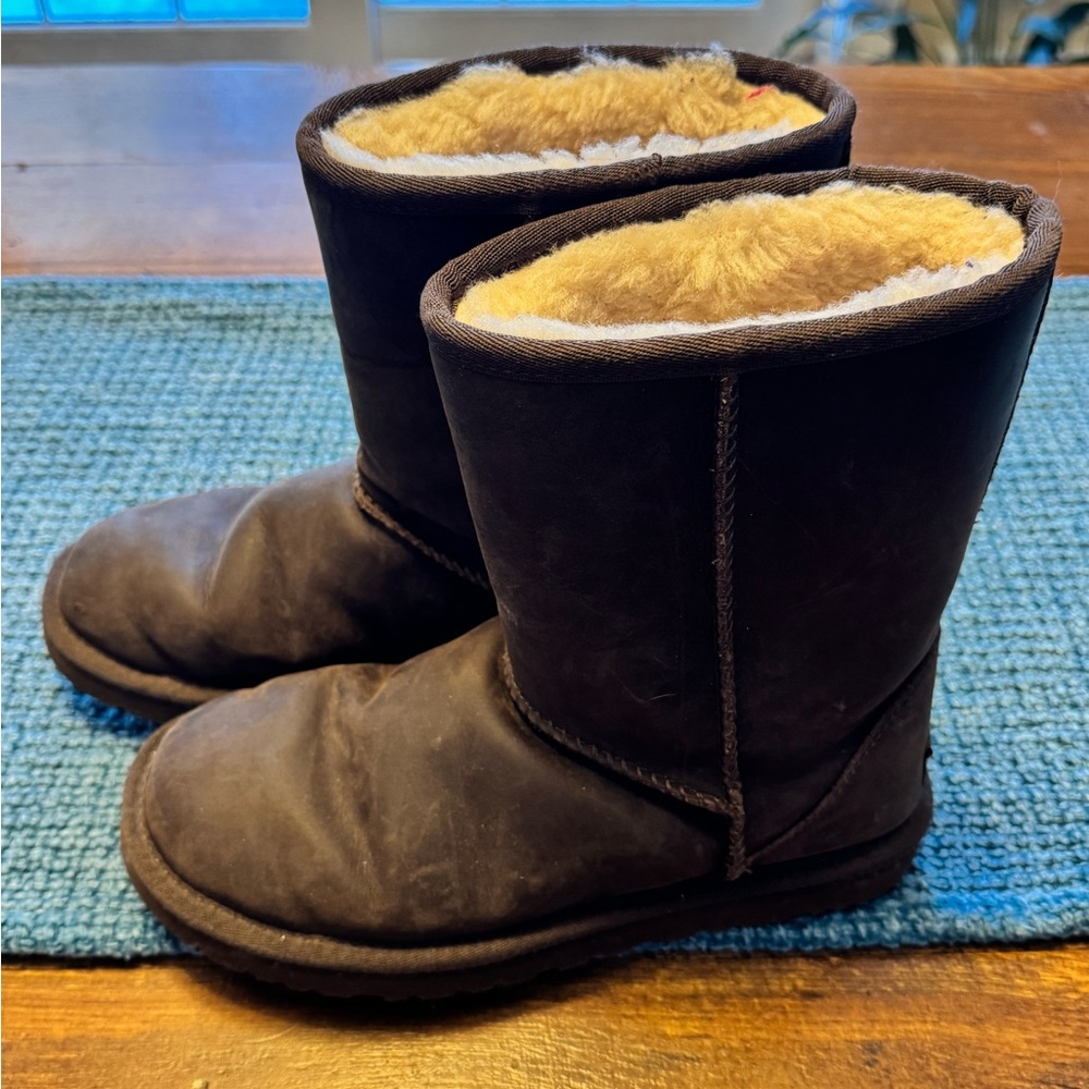 Women's Ugg Shearling-Lined Brown Ankle Boots